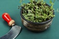 Fresh marjoram leaves on the table