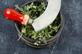 Fresh marjoram leaves on the table