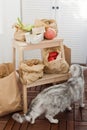 Fresh market delivery bags and cat Royalty Free Stock Photo