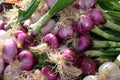 Fresh market onions Royalty Free Stock Photo