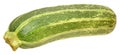 Fresh Marrow Squash Royalty Free Stock Photo