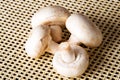 Fresh mashrooms, champignons Royalty Free Stock Photo