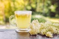 Fresh Meadowsweet, Filipendula ulmaria flowers tea infusion in tea cup and fresh picked flower next to it.