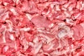 The fresh meat, close- up