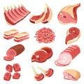 Fresh meat cuts colorful vector collection on white Royalty Free Stock Photo