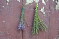 Fresh medical herbs lavender and hyssop (Hyssopus officinalis) on old wall