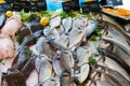 Fresh mediterranean fish on market in France