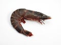 Fresh Mediterranean Praw or Gambas against White Background