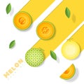 Fresh melon fruit background in paper art style