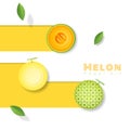 Fresh melon fruit background in paper art style