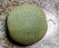 Fresh melon fruit scetion Royalty Free Stock Photo