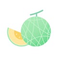 Fresh melon. Fruit icon. Royalty Free Stock Photo