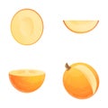 Fresh melon icons set cartoon vector. Ripe melon