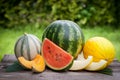 Fresh melons Royalty Free Stock Photo