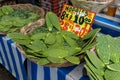 Fresh Mexican nopal or cactus for sale on the market in Mexico