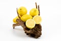 Fresh Meyer lemon Royalty Free Stock Photo