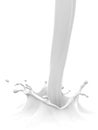 Fresh milk Royalty Free Stock Photo