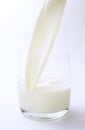 Fresh milk Royalty Free Stock Photo