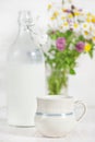 Fresh milk in ceramic mug Royalty Free Stock Photo