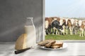 Fresh milk,cream bottle on window sill in countryside Royalty Free Stock Photo