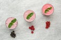 Fresh milk, currant, raspberry and red currant Royalty Free Stock Photo