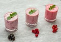 Fresh milk, currant, raspberry and red currant Royalty Free Stock Photo