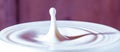 Fresh milk droplet isolated on interesting colourful background - dairy products - lactose intolerance