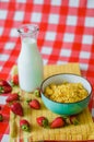 Fresh milk in glass bottle, cereals in green blue ceramic bowl, tasty yogurt in small glass bowl with a lot of strawberries around Royalty Free Stock Photo