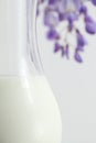 Fresh milk in a glass jug Royalty Free Stock Photo