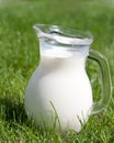 Fresh milk in glass jug in a green grass Royalty Free Stock Photo