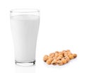 Fresh milk in the glass with soy beans on white background Royalty Free Stock Photo