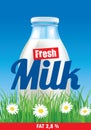 Fresh milk on grass field with flowers