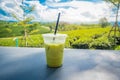 Fresh milk green tea drink made from raw materials from Chui Fong Farm, famous for the sound of Chiang Rai Province