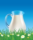 Fresh milk jug on summer grass field with chamomile