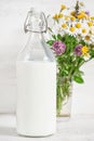 Fresh milk in old fashioned bottle and wildflowers Royalty Free Stock Photo