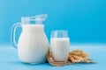 Fresh Milk in Pitcher and Glass Royalty Free Stock Photo