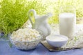 Fresh milk products Royalty Free Stock Photo