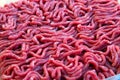 Fresh minced beef Royalty Free Stock Photo