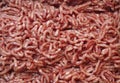 Fresh Minced Beef Meat Royalty Free Stock Photo