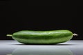 Fresh mini cucumber Royalty Free Stock Photo