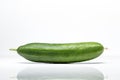 Fresh mini cucumber Royalty Free Stock Photo