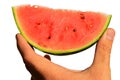 Fresh mini watermelon Citrullus Lanatus var. Lanatus slice held in left hand on white background
