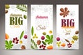 Fresh minimalist fall vertical banners with leafs and sample text Royalty Free Stock Photo