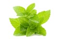 Fresh Mint Royalty Free Stock Photo