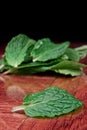 Fresh mint Royalty Free Stock Photo