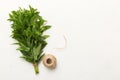 Fresh mint bunch on colored table. Top view with copy space Royalty Free Stock Photo