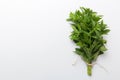 Fresh mint bunch on colored table. Top view with copy space Royalty Free Stock Photo