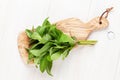 Fresh mint bunch on cutting board Royalty Free Stock Photo