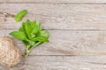 Fresh mint bunch on garden table Royalty Free Stock Photo