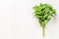 Fresh mint bunch Royalty Free Stock Photo